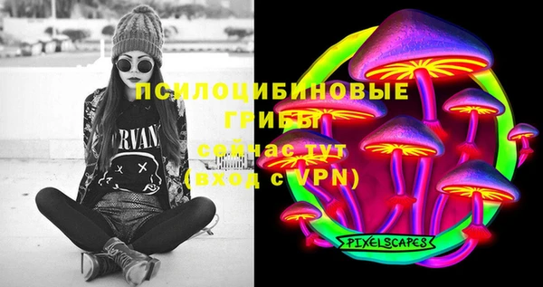спиды Алзамай