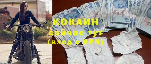твердый Аркадак