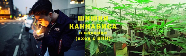 спиды Алзамай
